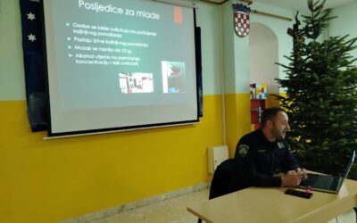 Rizično ponašanje mladih